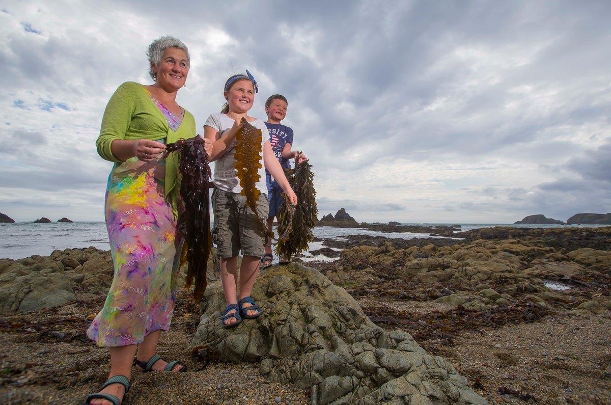 Foraging with the Sea Gardener